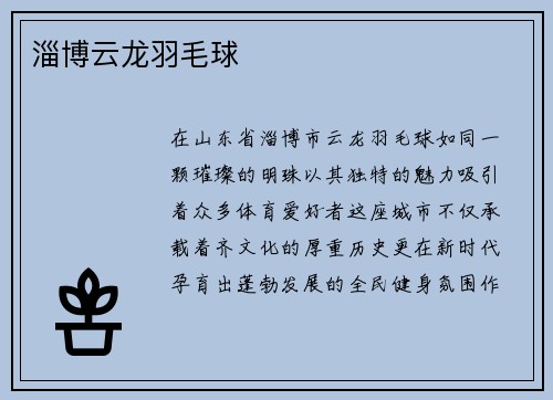 淄博云龙羽毛球
